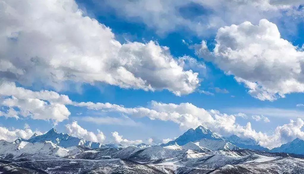 1649662027725446.jpg 微信圖片_20220411151026.jpg